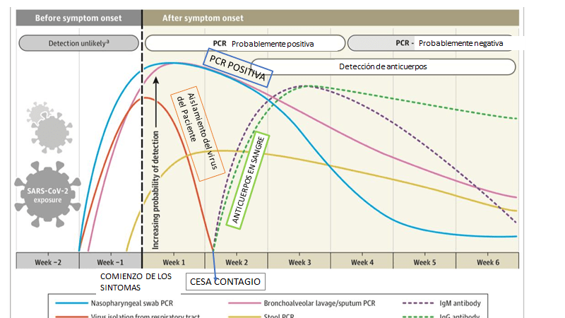 La imagen tiene un atributo ALT vacío; su nombre de archivo es image-26.png